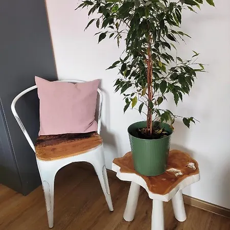 Apartamento Alte Schule