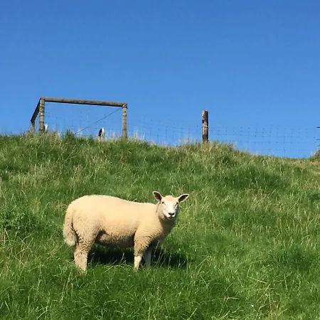 Apartamento Alte Schule *